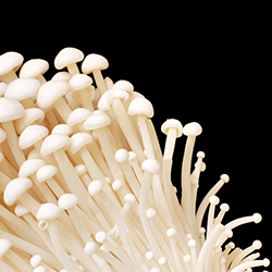 You Say Enoki, I Say Enokitake