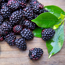 Black Raspberries