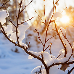 3 Tips to Sneak Health into Winter