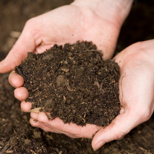 Transform Compost health and wellness