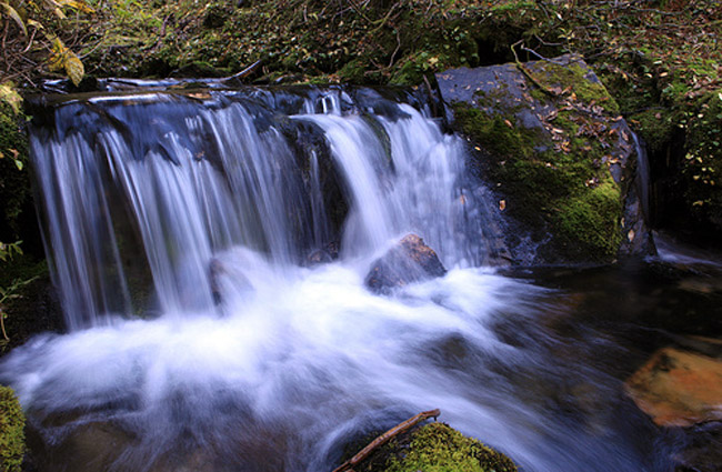 Monashee Spring Water