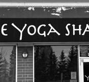 The Yoga Shala health and wellness