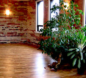 The Yoga Sanctuary health and wellness