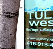 Tula Yoga health and wellness