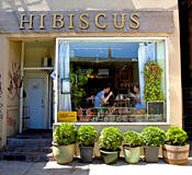 Hibiscus Café